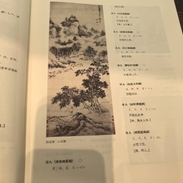 找同频共振老伴搭子