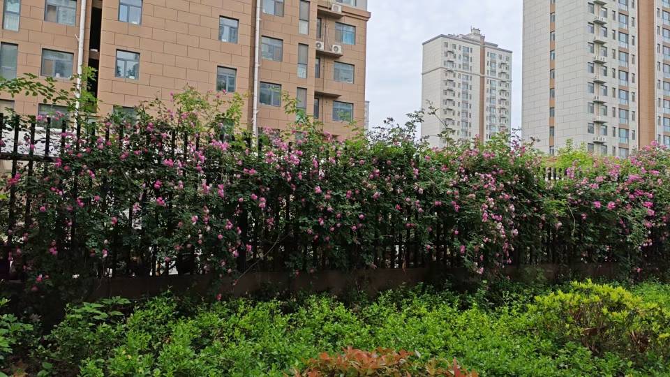 找旅游老伴搭子