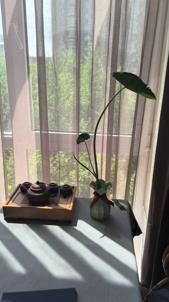 找生活陪伴老伴搭子