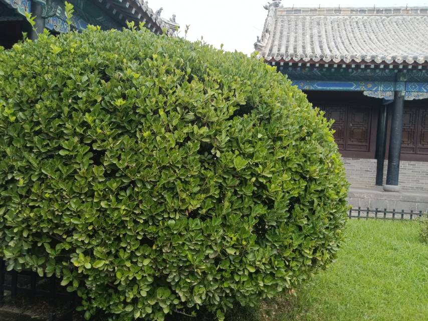 找看电影老伴搭子