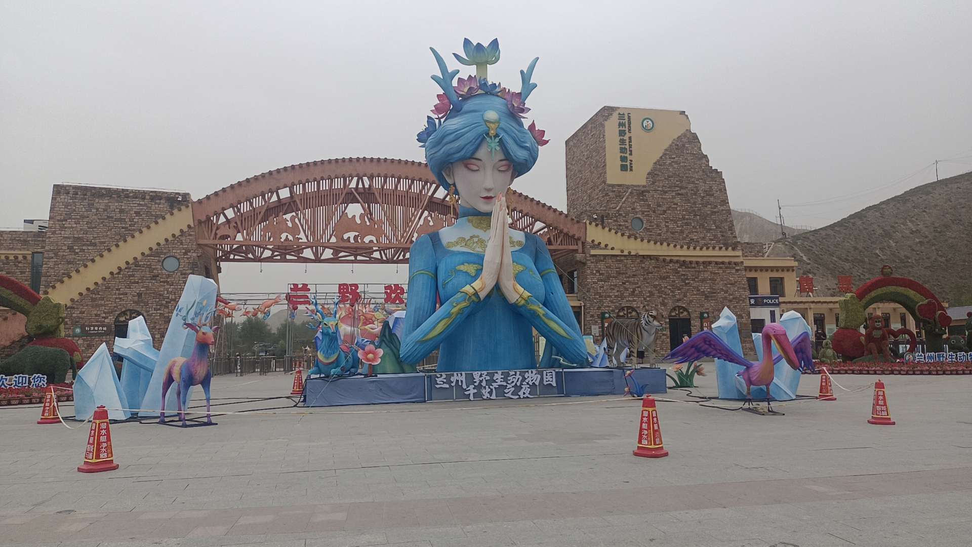 找恋爱老伴搭子
