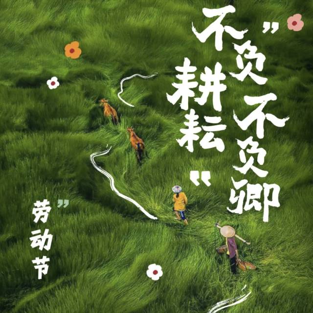 找聊天老伴搭子