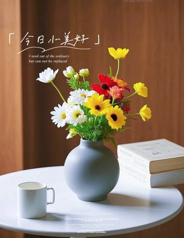 找生活老伴搭子