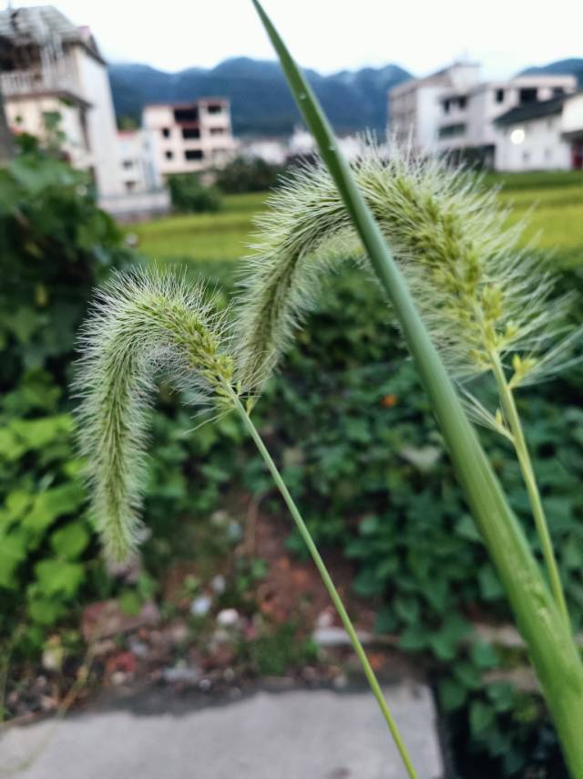 找健身老伴搭子