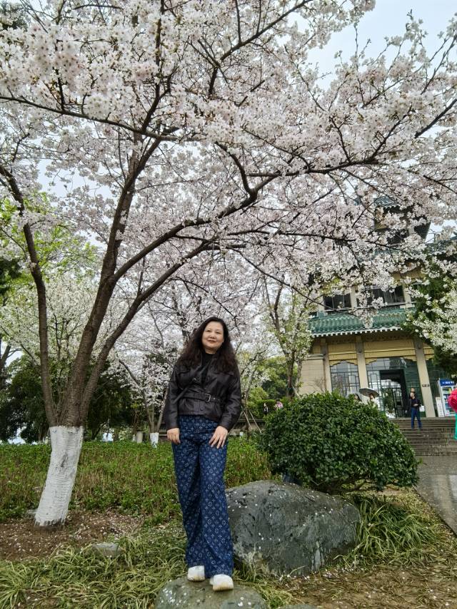 找旅行老伴搭子