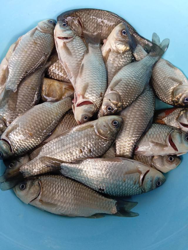 找运动老伴搭子