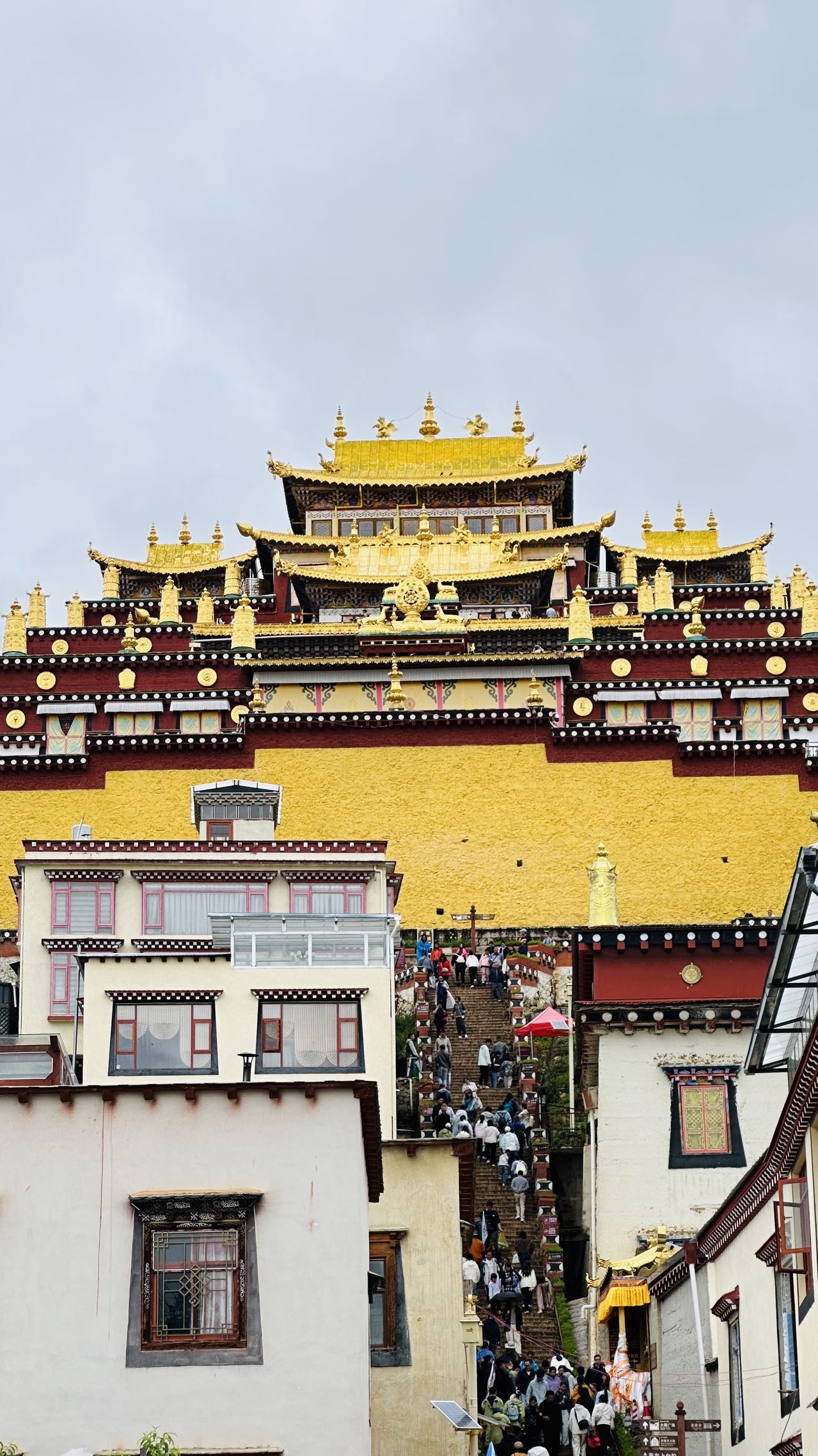 找旅行老伴搭子