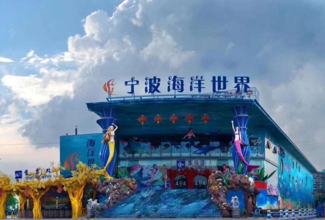 找聊天老伴搭子