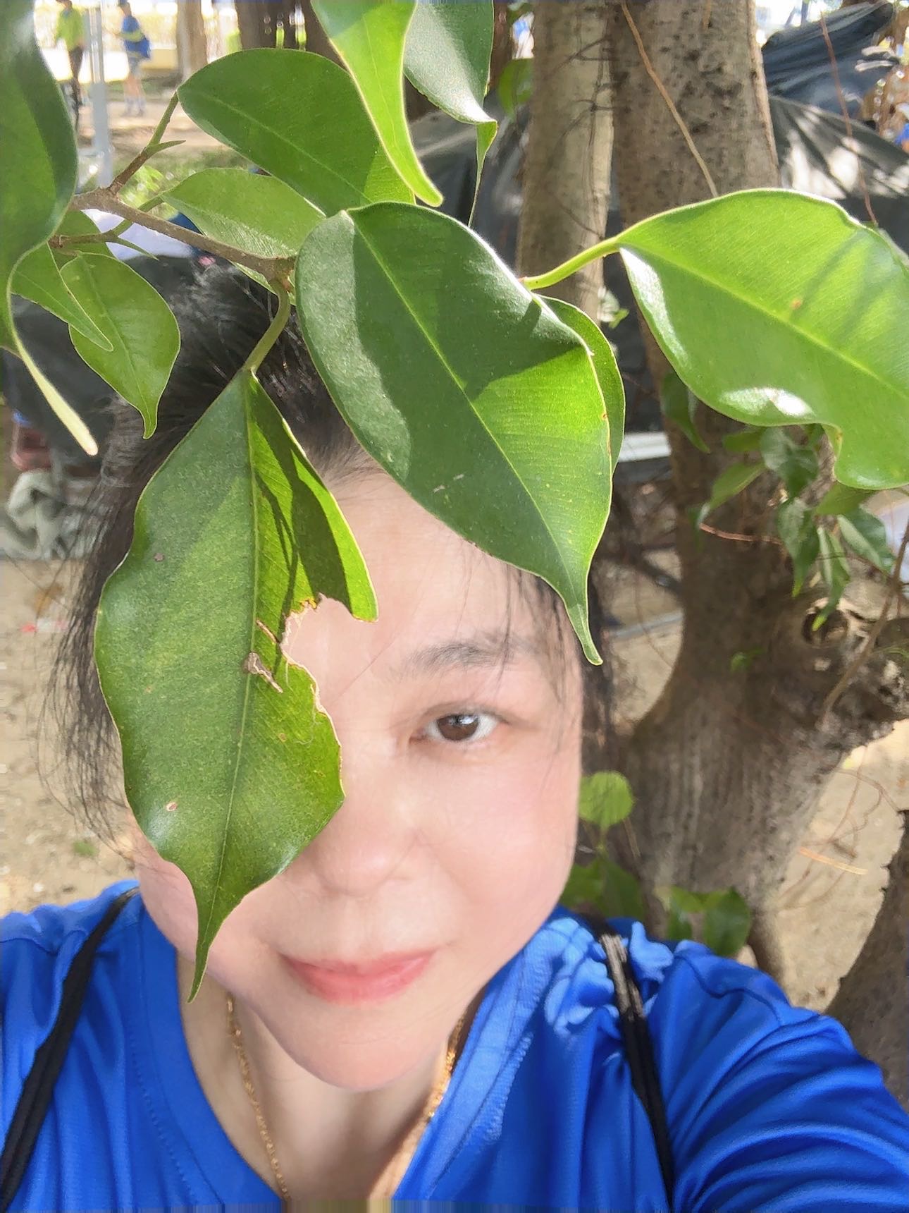 找运动老伴搭子