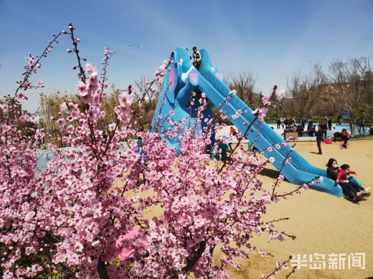 找运动老伴搭子