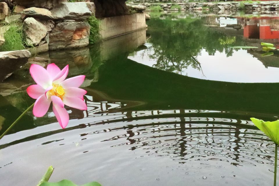 找运动老伴搭子