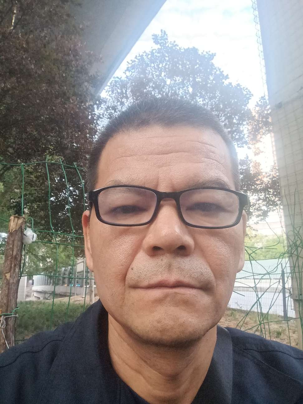 找养生老伴搭子