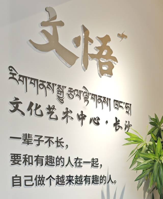 找逛街老伴搭子