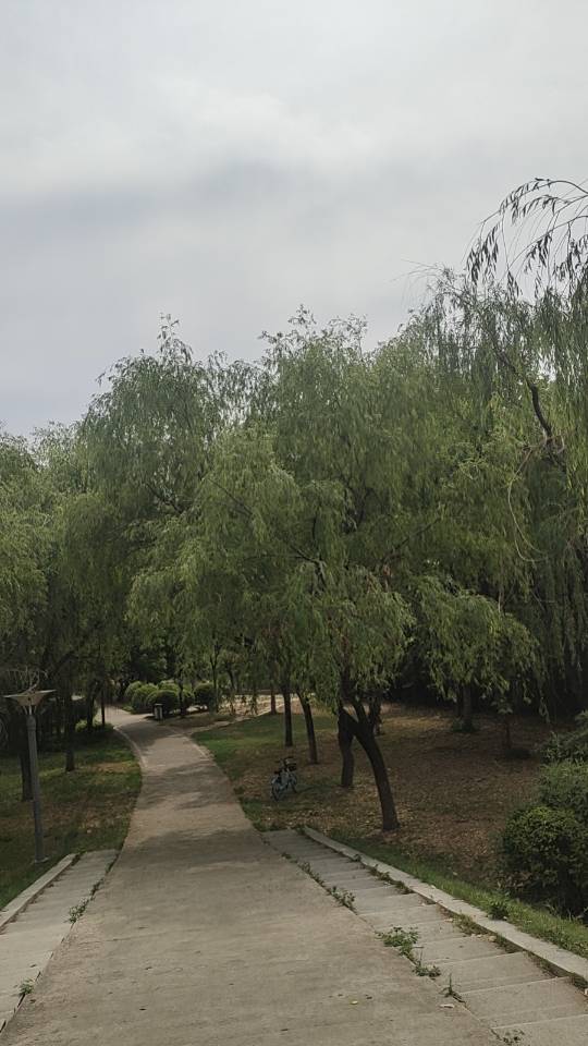 找喜欢旅游唱歌老伴搭子