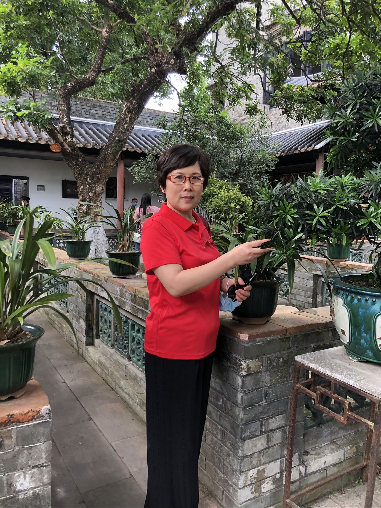 找散步老伴搭子