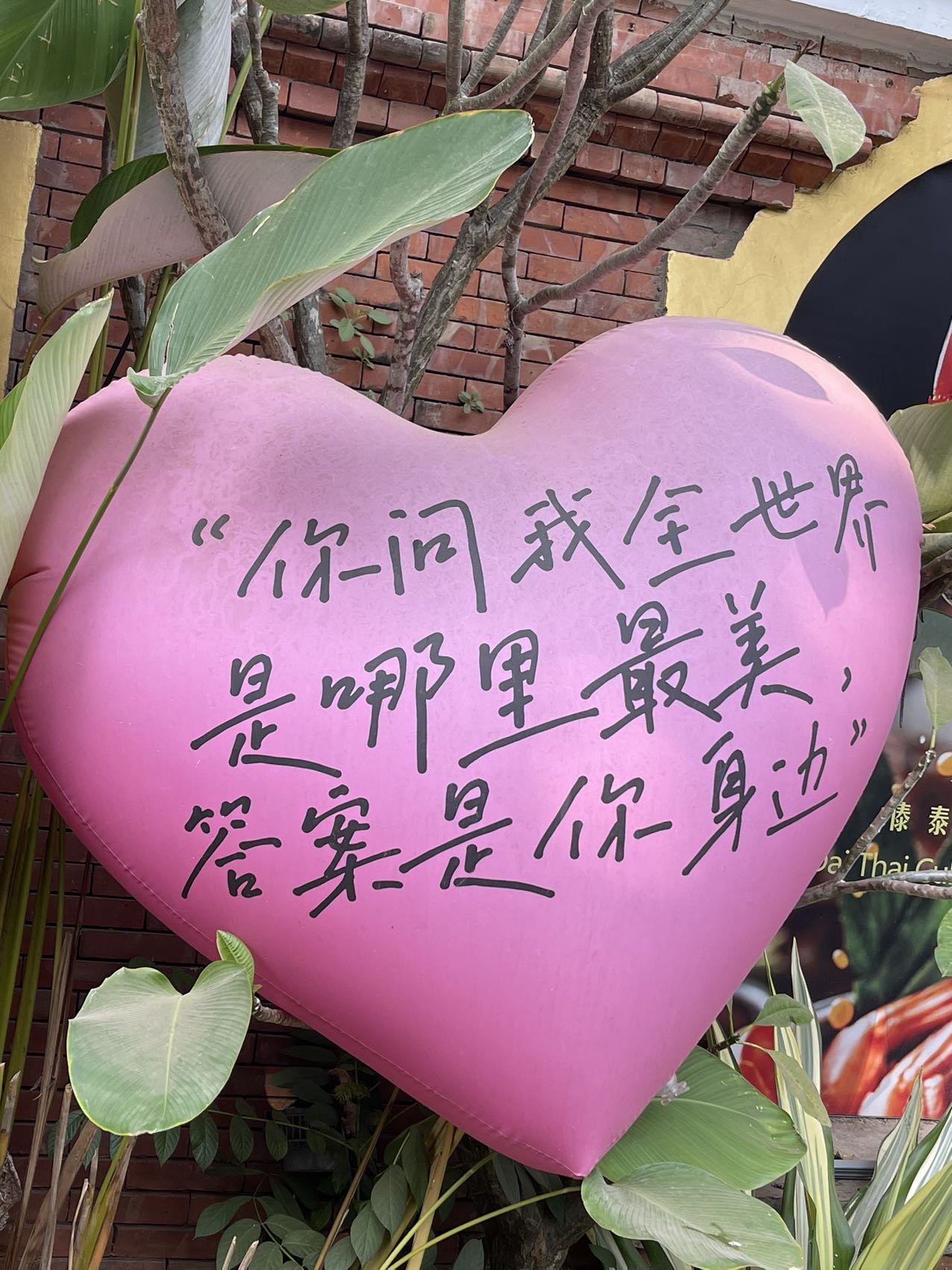 找温暖的人做老伴搭子