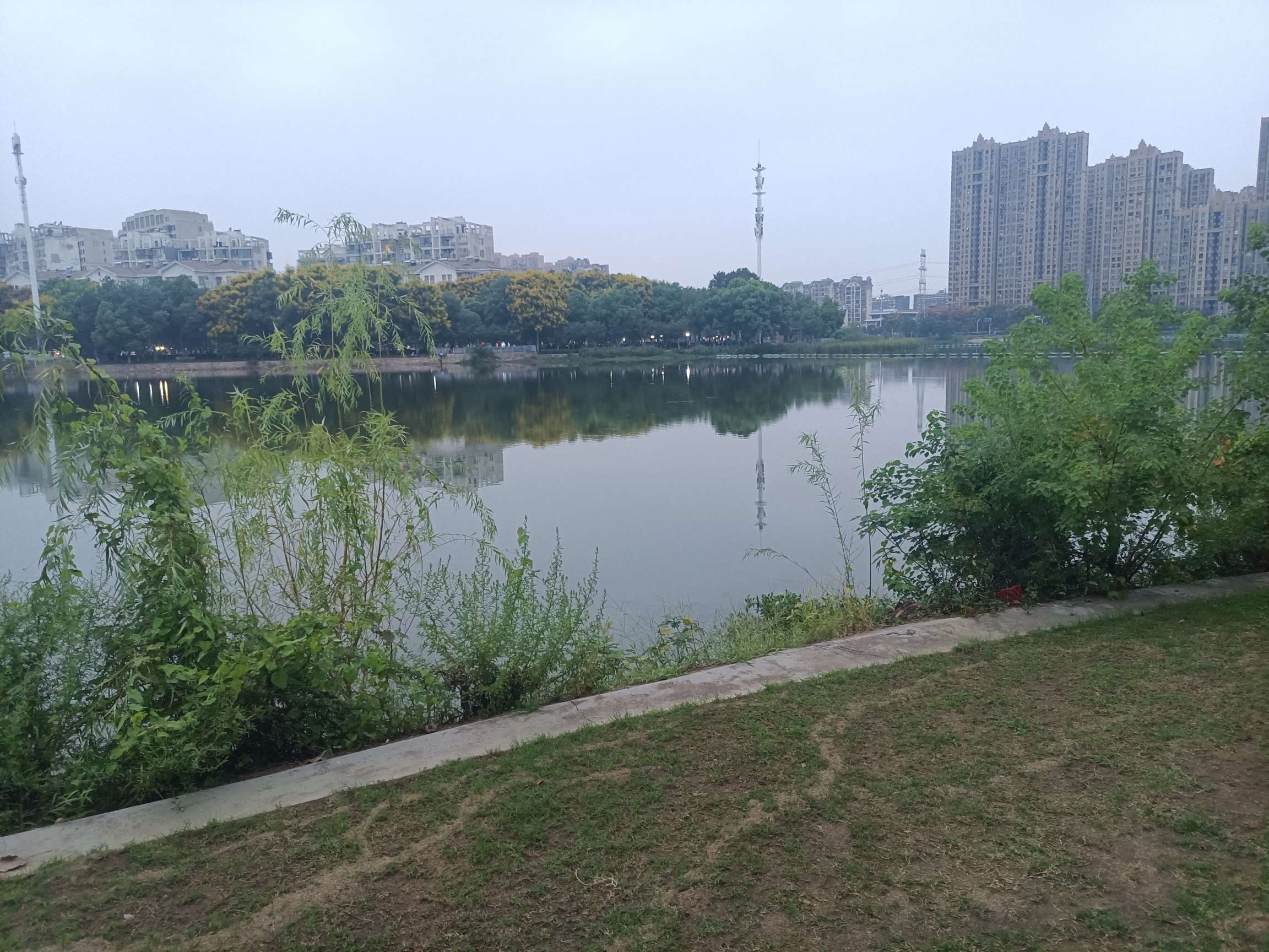 找随便聊聊老伴搭子