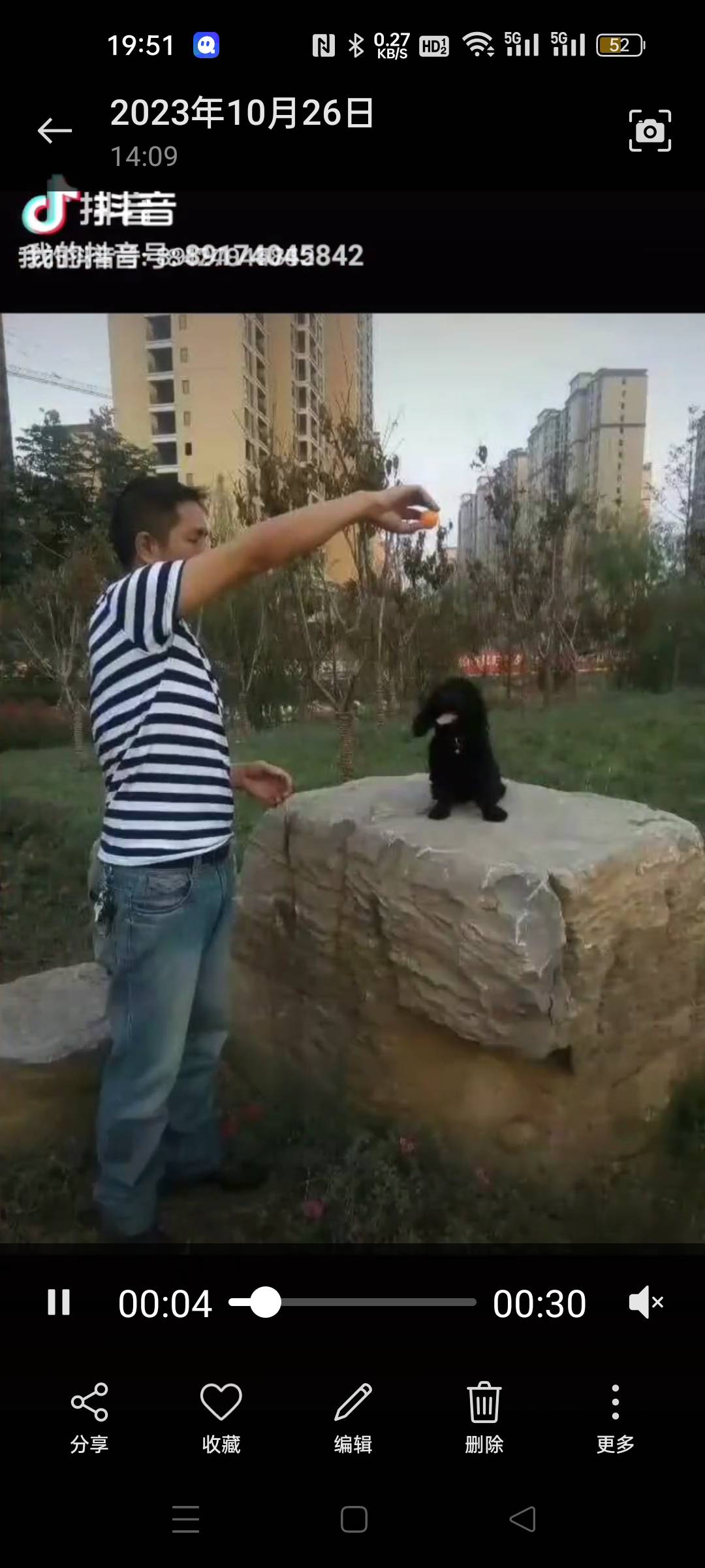 找上班下班老伴搭子