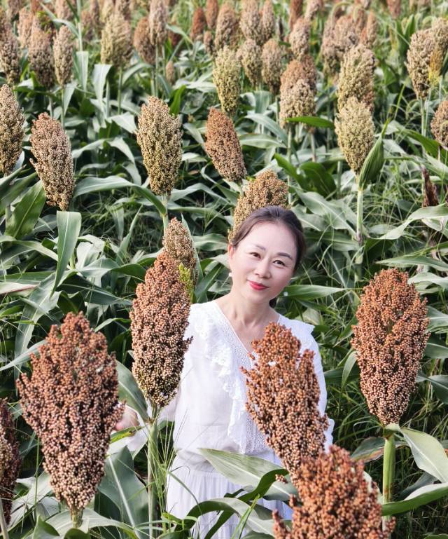 找旅游老伴搭子