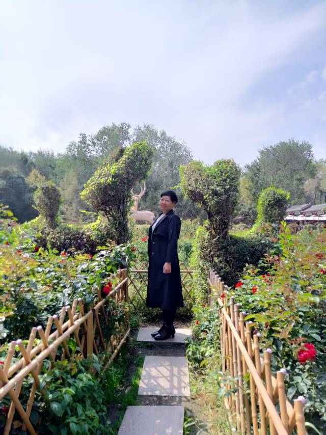 找散步老伴搭子