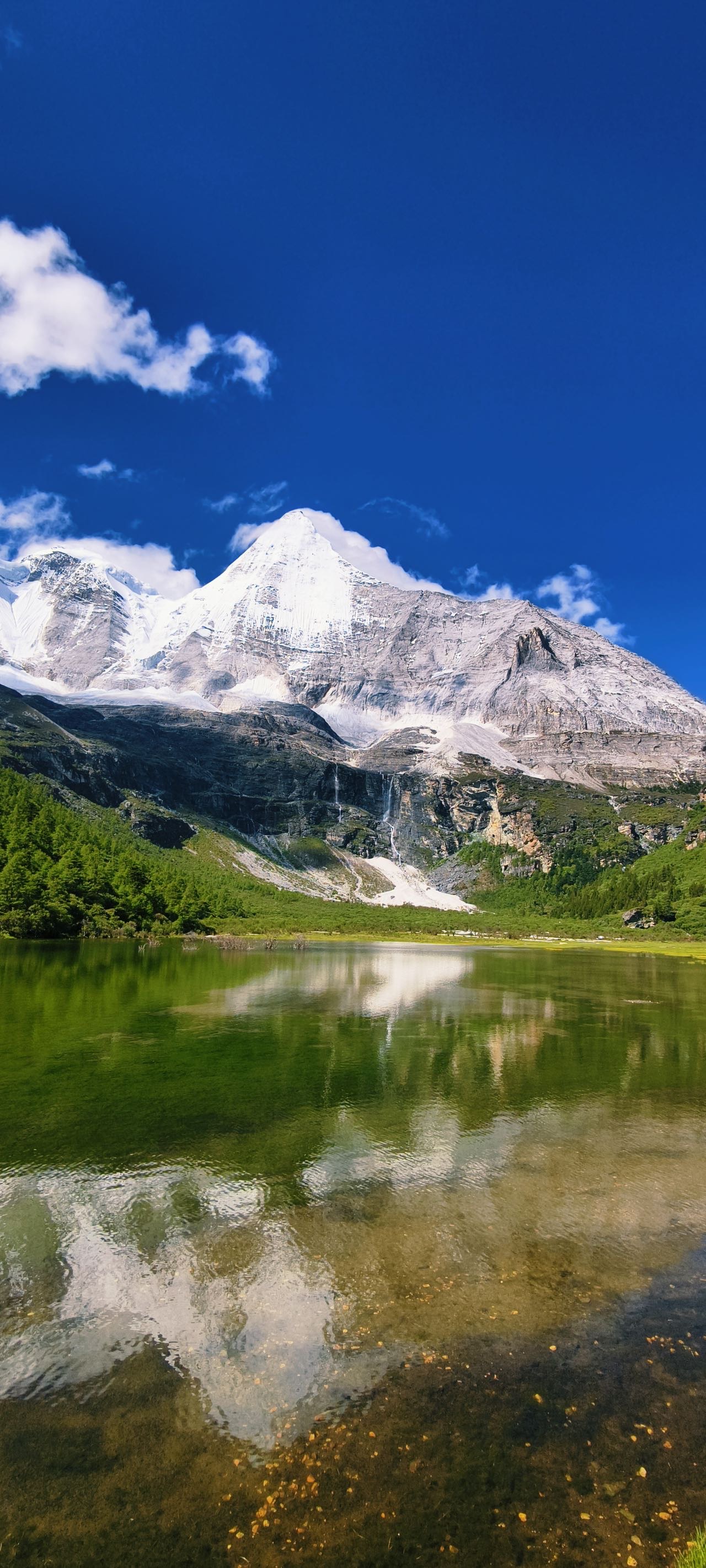 找热爱自然的老伴搭子