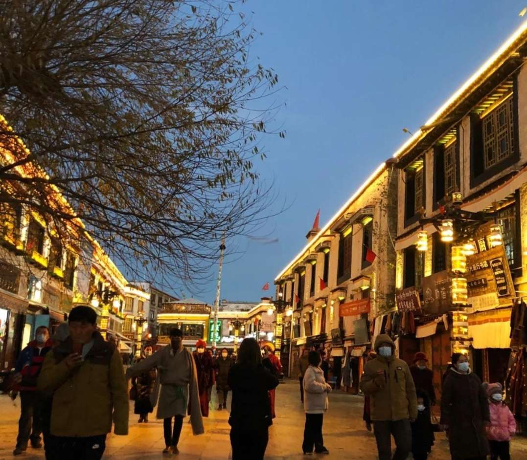 找旅行老伴搭子