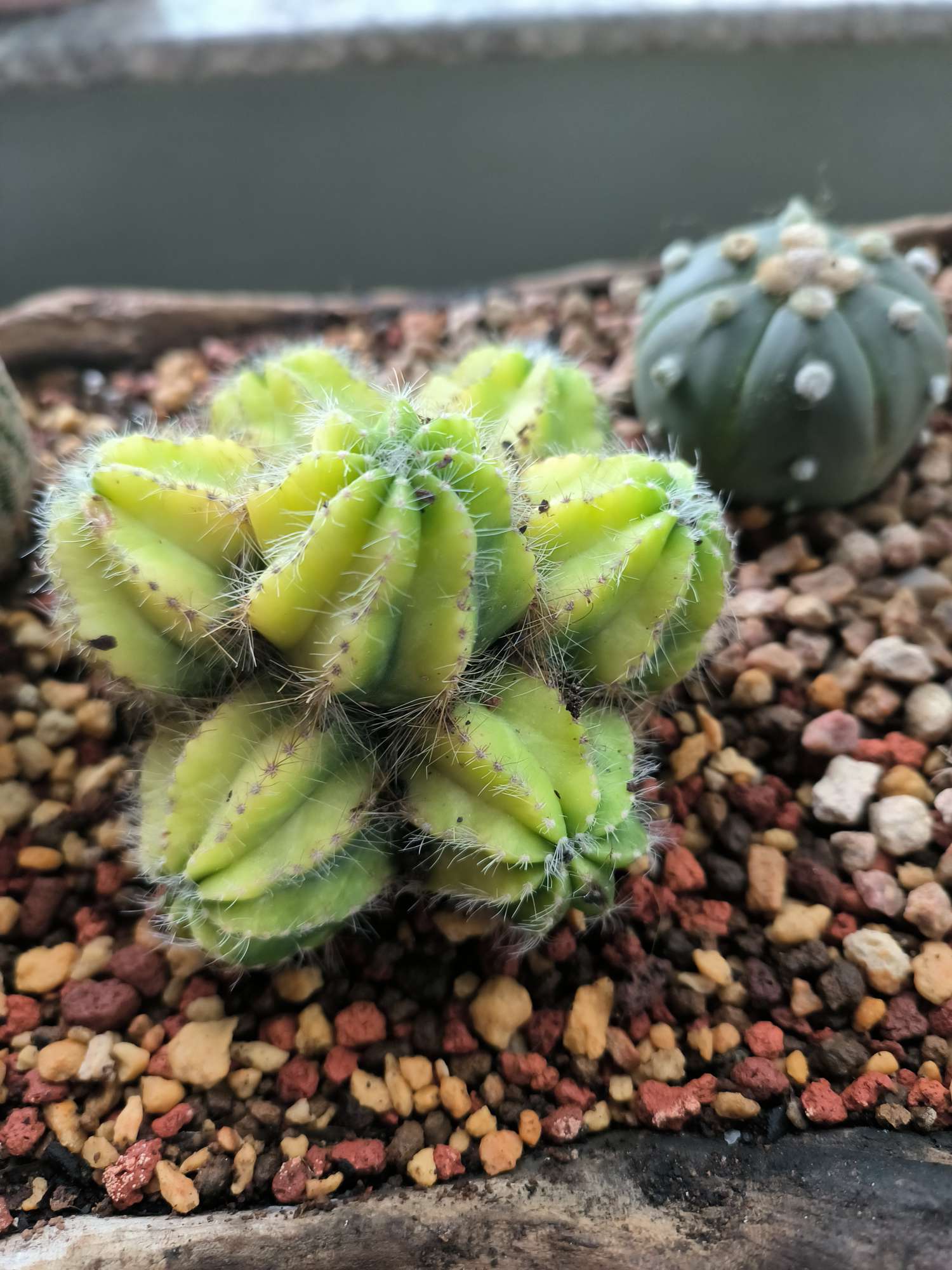 找自驾游老伴搭子