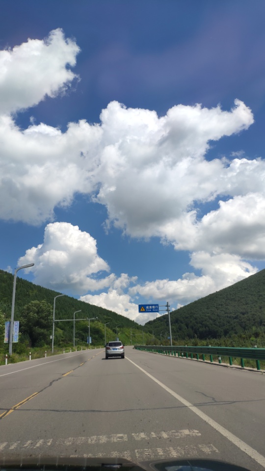 找旅行老伴搭子