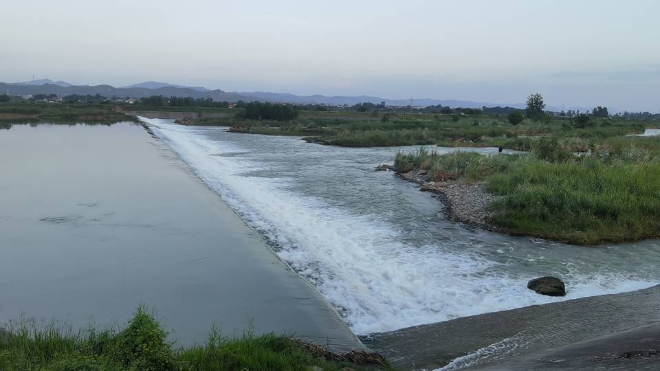 找散步老伴搭子