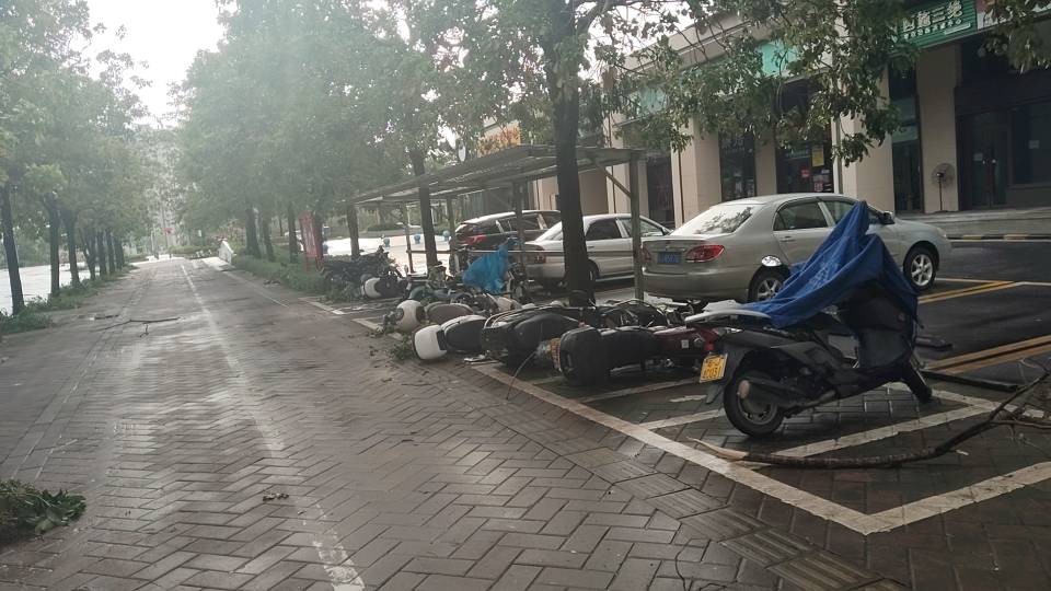 找打球老伴搭子