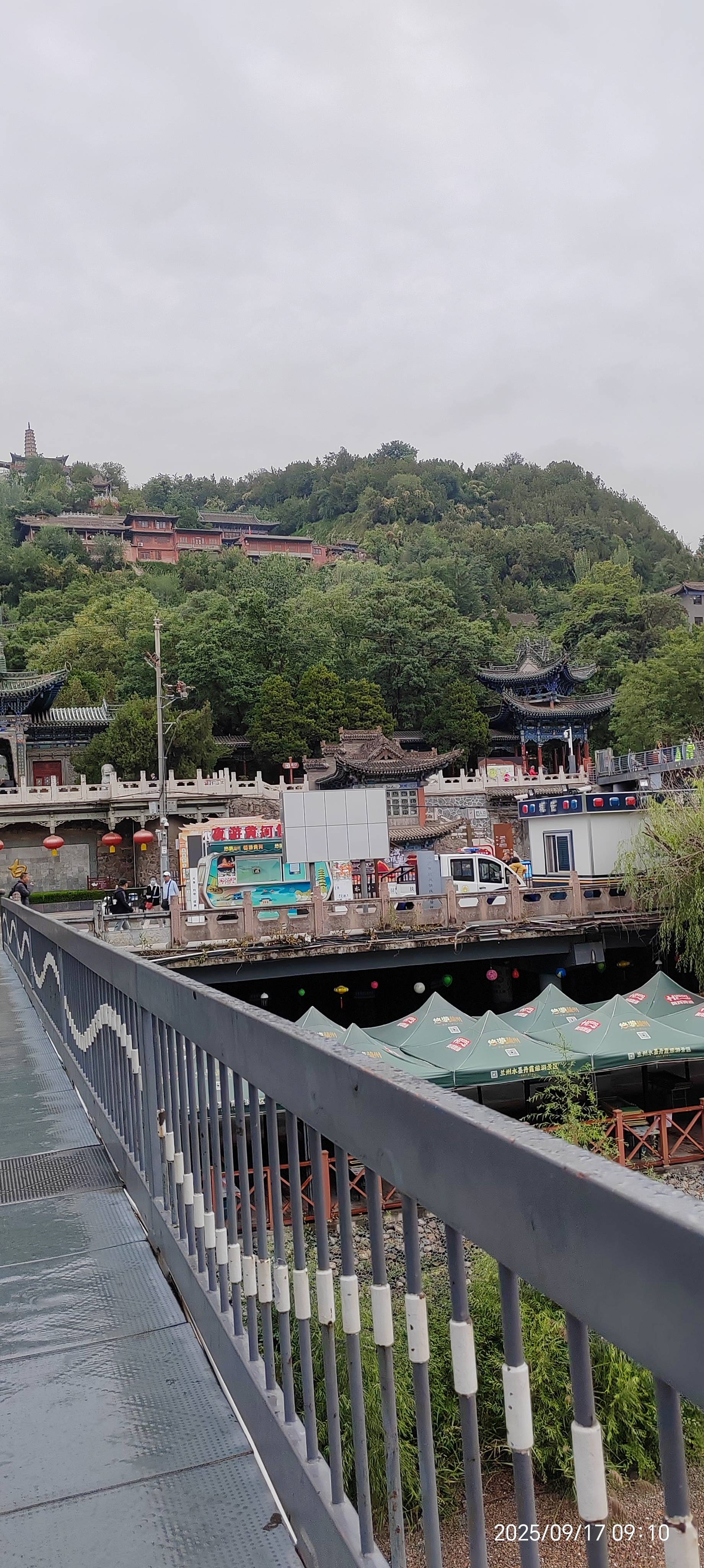 找生活老伴搭子