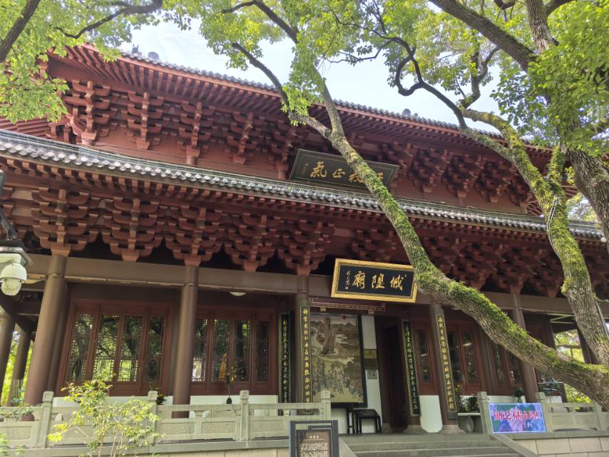找游玩老伴搭子