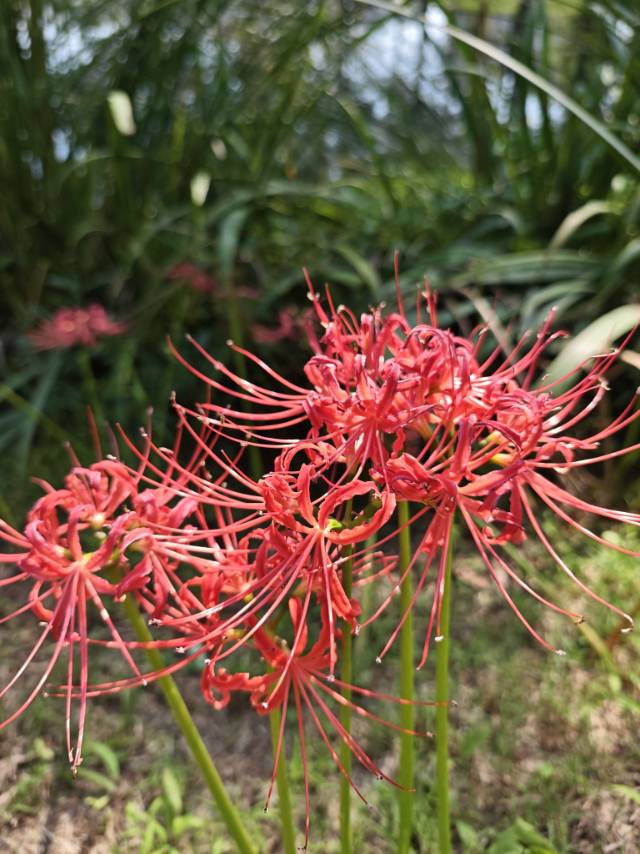 找旅游老伴搭子