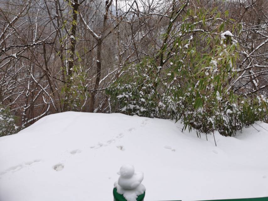 找休闲老伴搭子