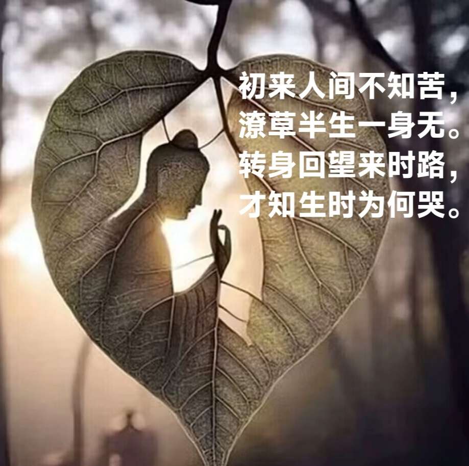 找聊天钓鱼老伴搭子