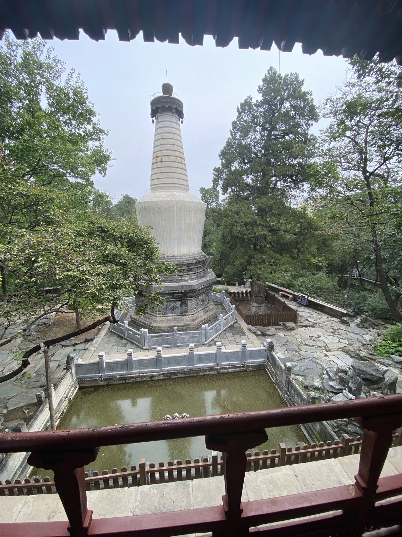 找运动老伴搭子