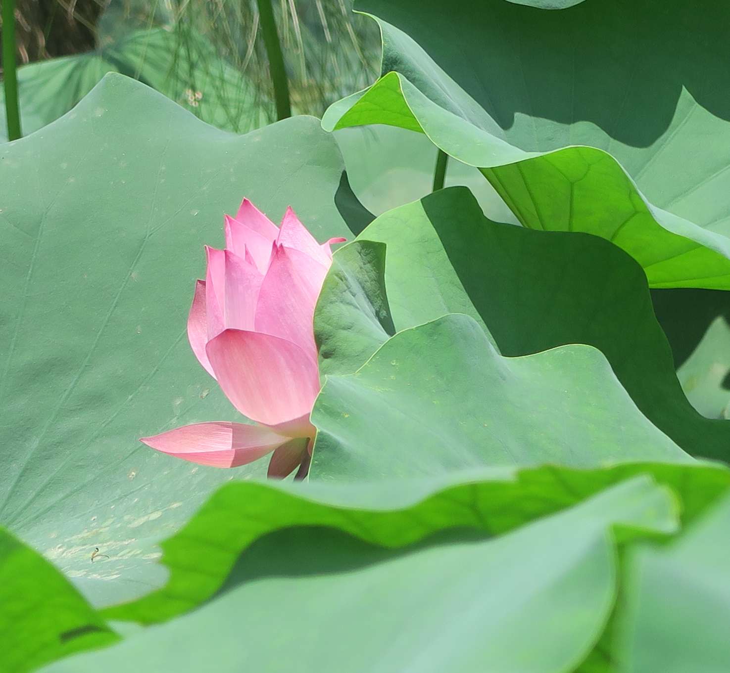 找旅行老伴搭子