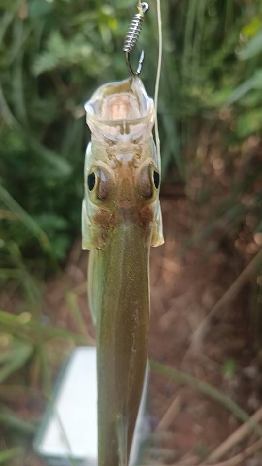 找钓鱼老伴搭子