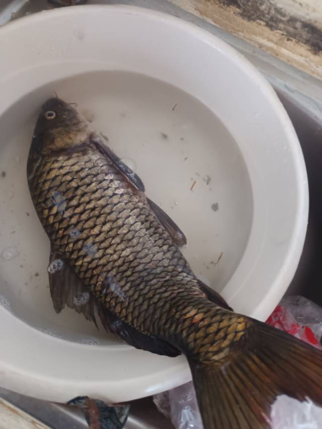 找钓鱼老伴搭子