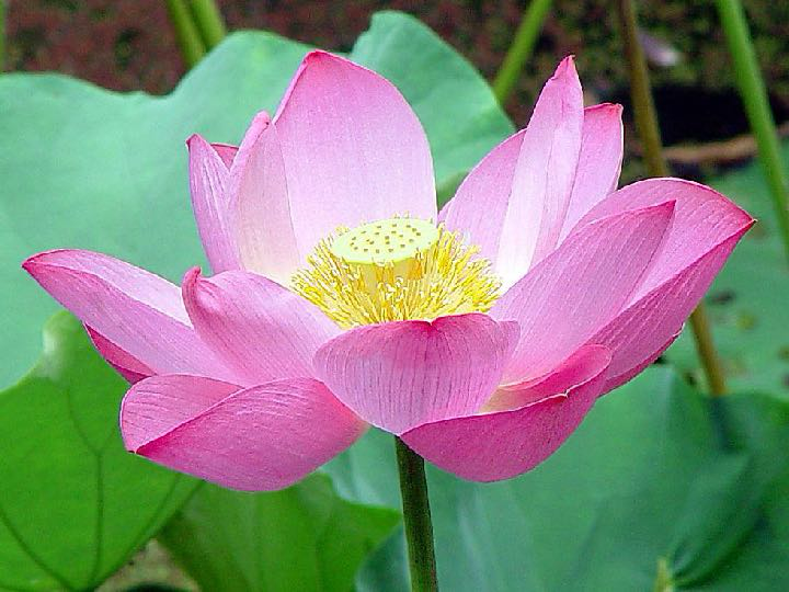 找散步老伴搭子