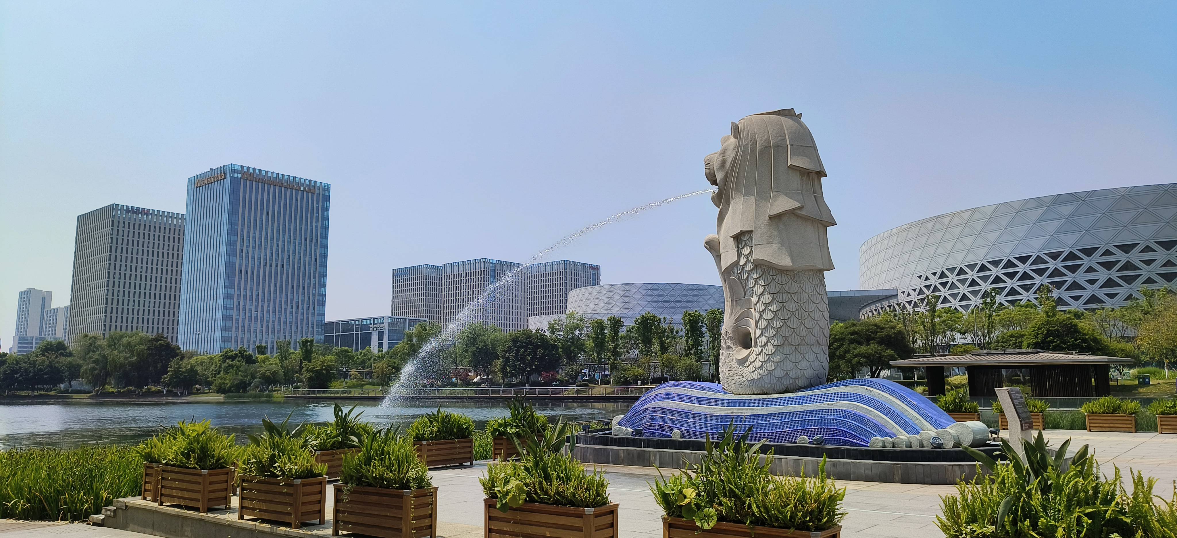 找灵魂伴侣老伴搭子