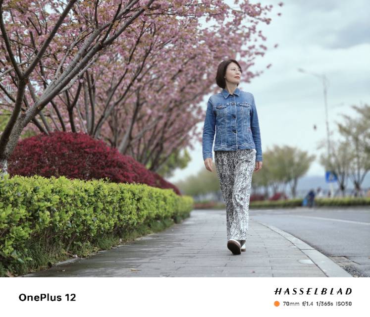 找聊天老伴搭子