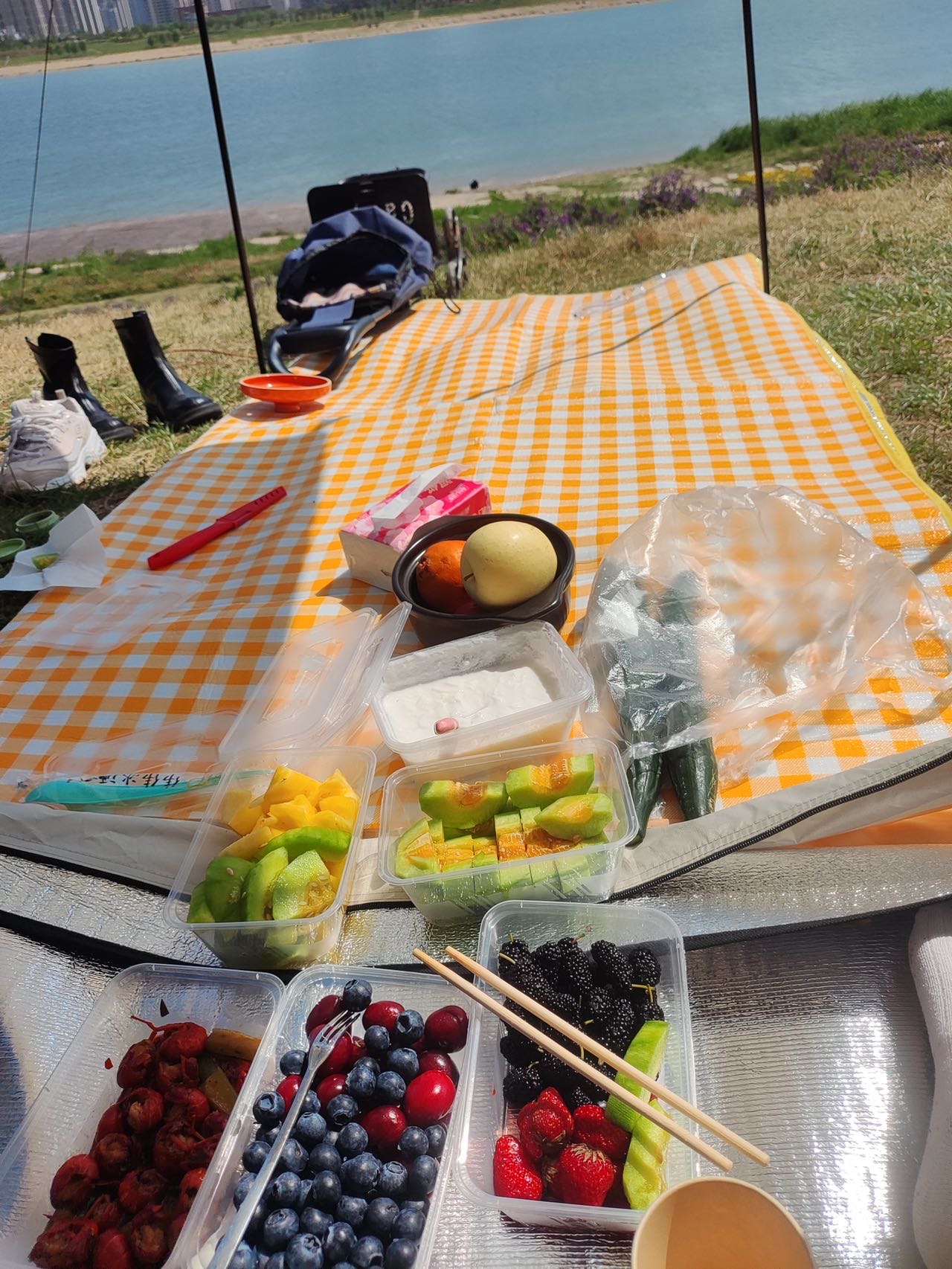 找聊天老伴搭子