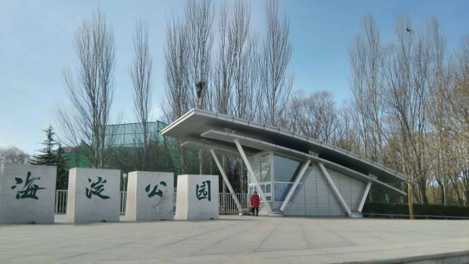 找运动老伴搭子