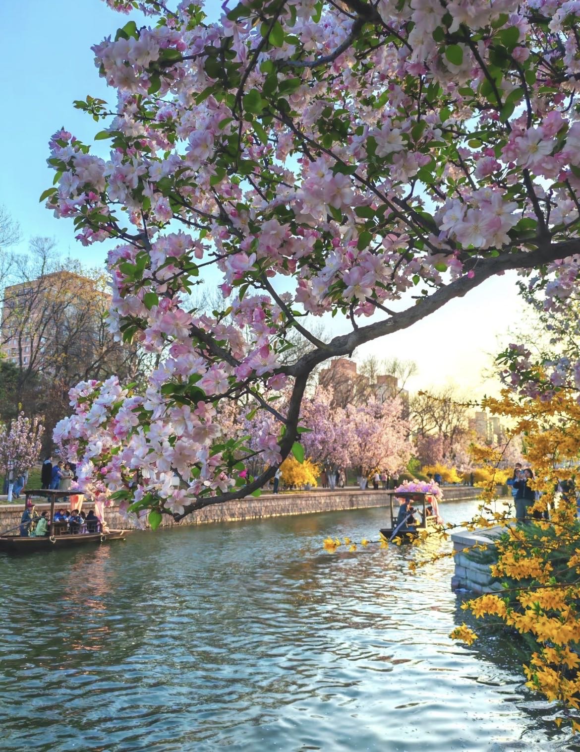 找旅行老伴搭子