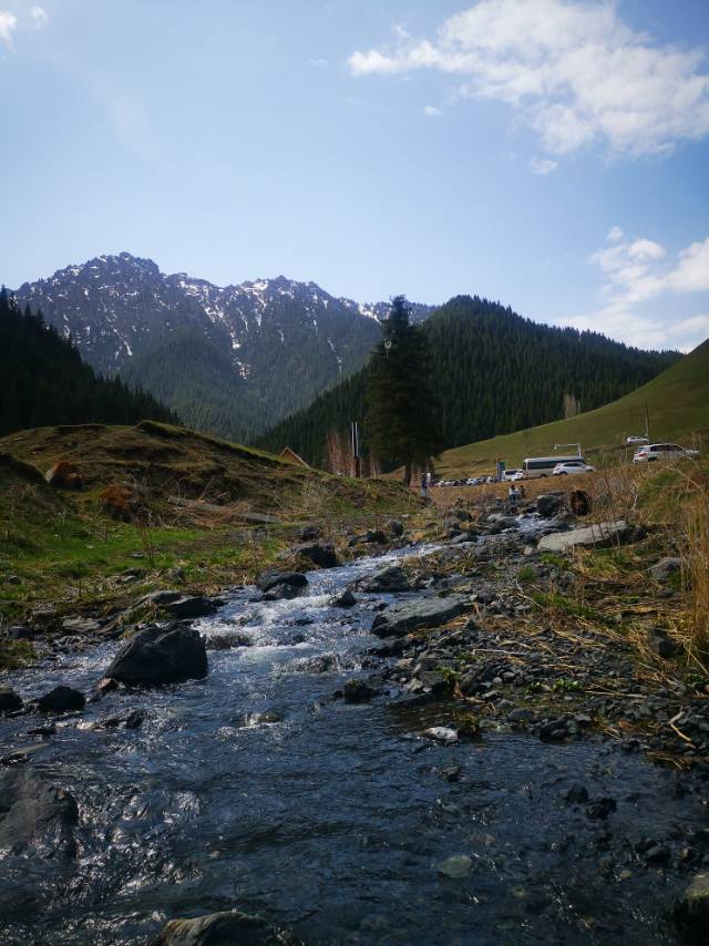 找游泳老伴搭子