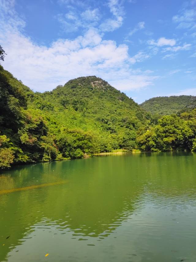 找真诚老伴搭子