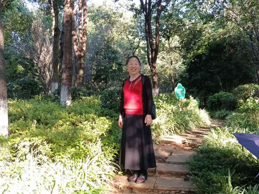 找聊天老伴搭子