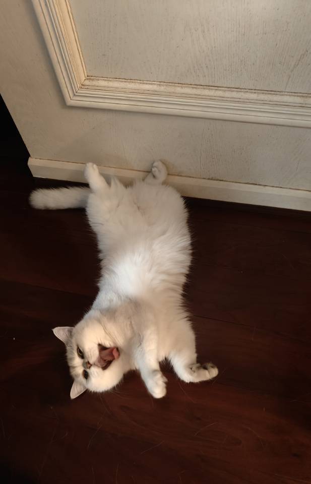 找休闲老伴搭子