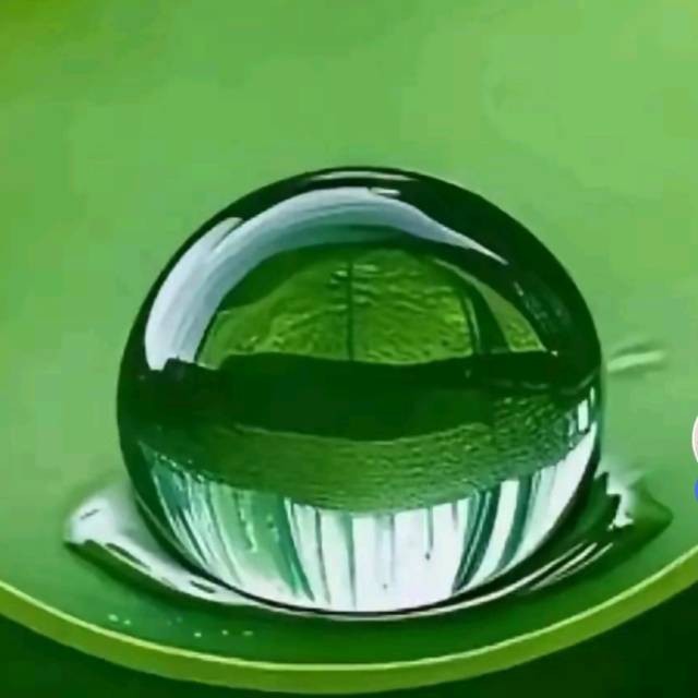 找游玩老伴搭子